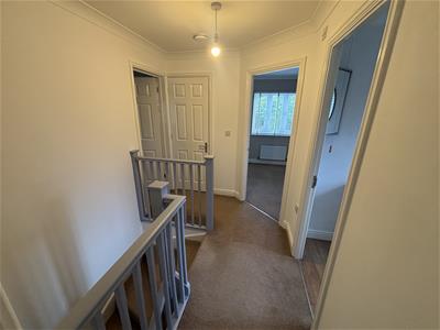 Picture 20